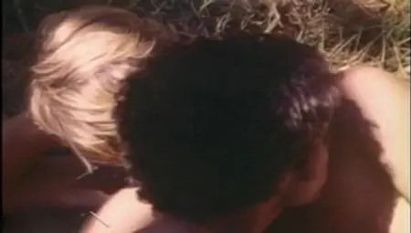 Falcon Studios: Thirteen Years Later