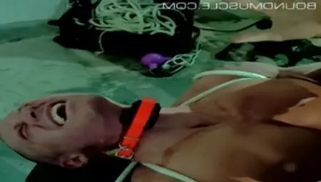 BoundMuscleJocks