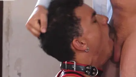 Chained to His Lust: A Tale of Humiliating Discovery
