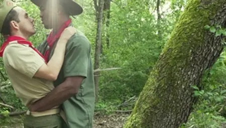 Unleashing Hidden Passions in Nature