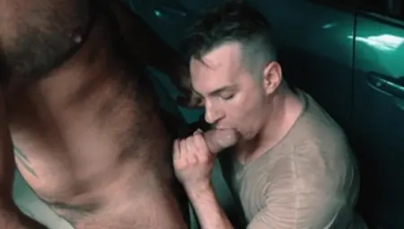 masqulin: Taking it Deep from a Bearded Breeder