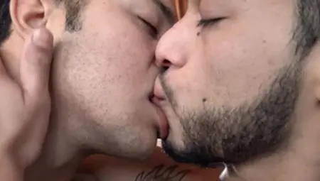 Latin Leche: Plowing hard together with Gus and Jesus